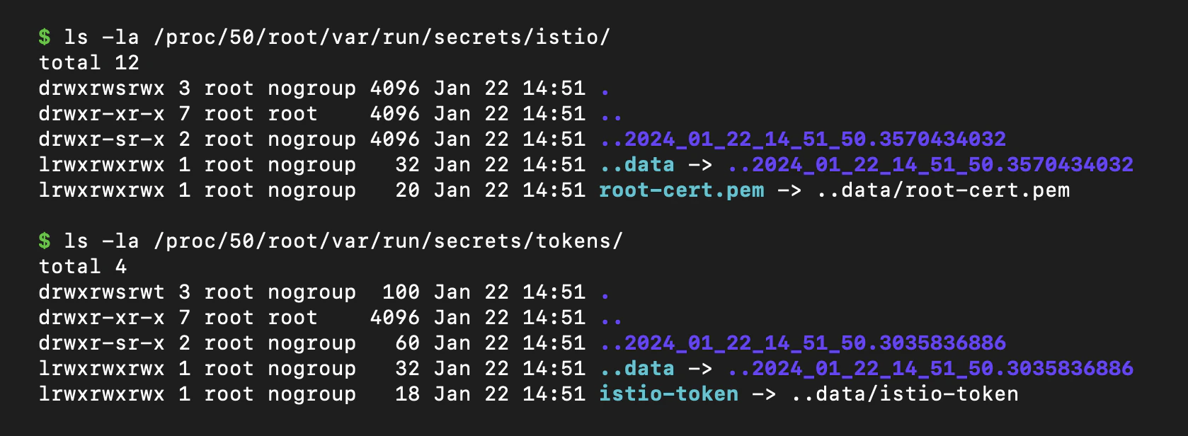 Terminal output listing the istio-token and root-cert.pem files visible via shareProcessNamespace
