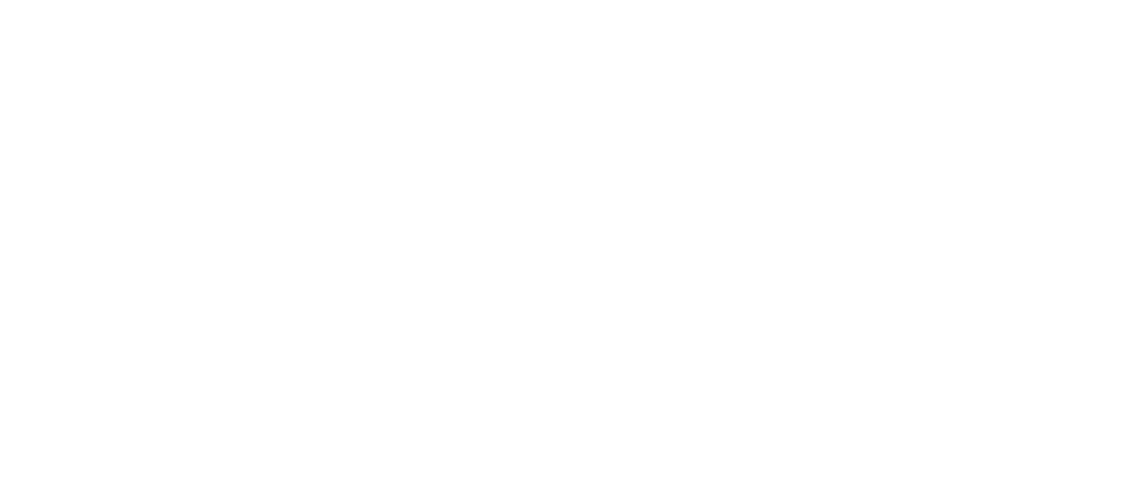 RSA Security