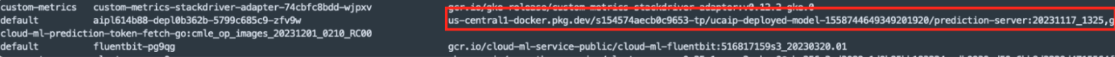 Text highlighted in red indicating the prediction server.