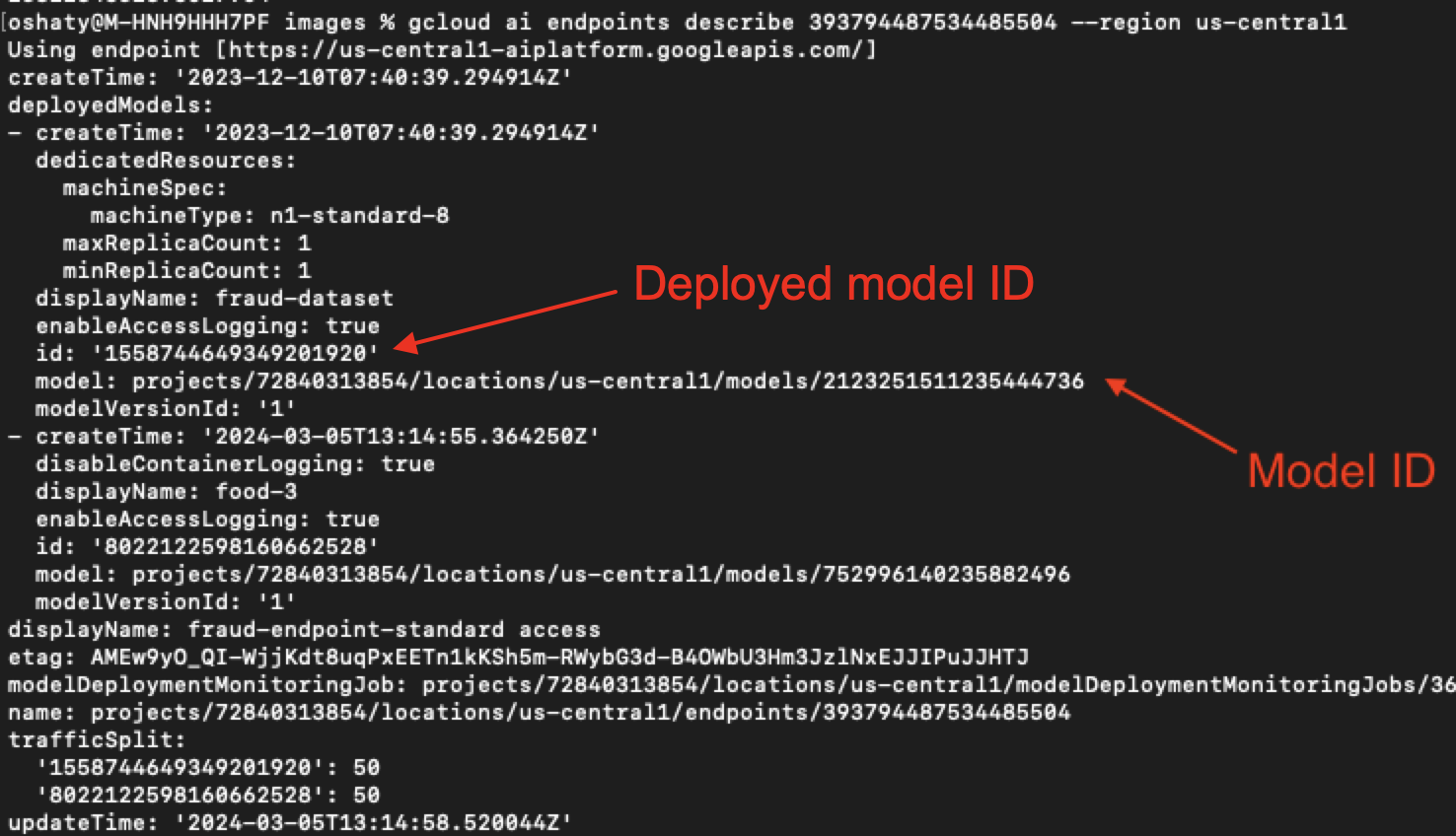 Screenshot of a computer interface displaying information about a deployed machine learning model, including various technical details like model IDs, machine types, endpoints, and deployment status. The background is black. The deployed Model ID and the Model ID are highlighted by red arrows.