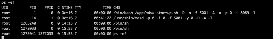 A screenshot of a terminal with a process list, displayed using the "ps ef" command. The list includes columns for UID, PID, PPID, start time, and more.