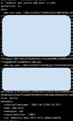 A screenshot displaying commands and outputs on a computer terminal, including interactions with Kubernetes showing secret management commands. The visible text features keys and metadata.